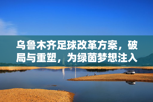 乌鲁木齐足球改革方案，破局与重塑，为绿茵梦想注入新动能