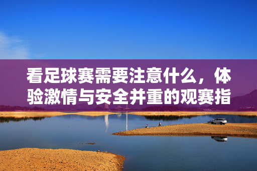 看足球赛需要注意什么，体验激情与安全并重的观赛指南，看足球赛需要注意什么，激情与安全并重的观赛指南