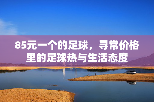85元一个的足球，寻常价格里的足球热与生活态度