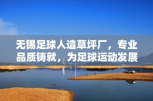 无锡足球人造草坪厂，专业品质铸就，为足球运动发展提供坚实支撑