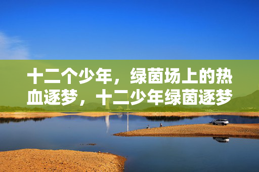 十二个少年，绿茵场上的热血逐梦，十二少年绿茵逐梦，绿茵场上的热血逐梦
