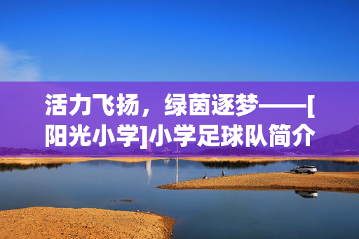 活力飞扬，绿茵逐梦——[阳光小学]小学足球队简介