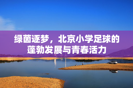 绿茵逐梦，北京小学足球的蓬勃发展与青春活力
