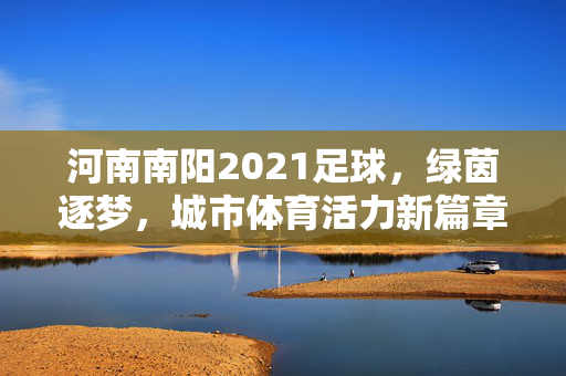河南南阳2021足球,绿茵逐梦,城市体育活力新篇章