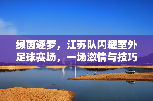 绿茵逐梦，江苏队闪耀室外足球赛场，一场激情与技巧的精彩对决