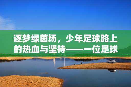逐梦绿茵场，少年足球路上的热血与坚持——一位足球小将的奋斗故事
