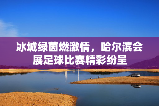 冰城绿茵燃激情，哈尔滨会展足球比赛精彩纷呈