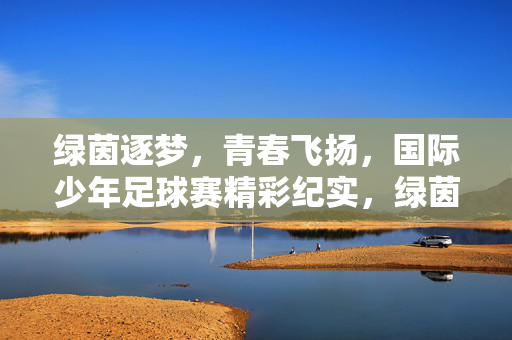 绿茵逐梦，青春飞扬，国际少年足球赛精彩纪实，绿茵逐梦，青春飞扬，国际少年足球赛精彩纪实