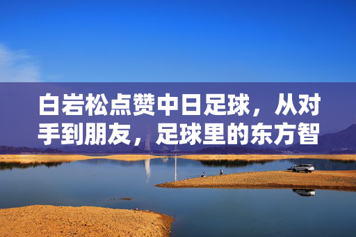 白岩松点赞中日足球，从对手到朋友，足球里的东方智慧与体育精神