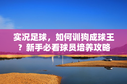实况足球，如何训狗成球王？新手必看球员培养攻略