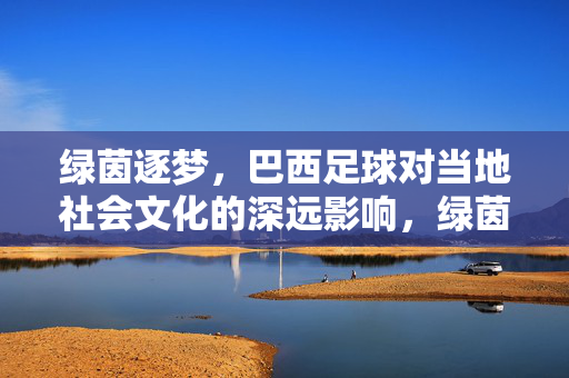 绿茵逐梦，巴西足球对当地社会文化的深远影响，绿茵逐梦，巴西足球对当地社会文化的深远影响