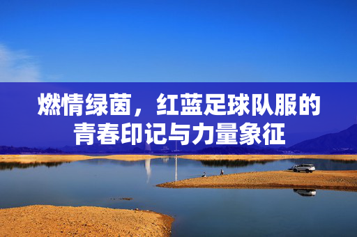 燃情绿茵，红蓝足球队服的青春印记与力量象征