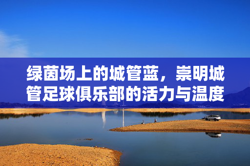 绿茵场上的城管蓝，崇明城管足球俱乐部的活力与温度