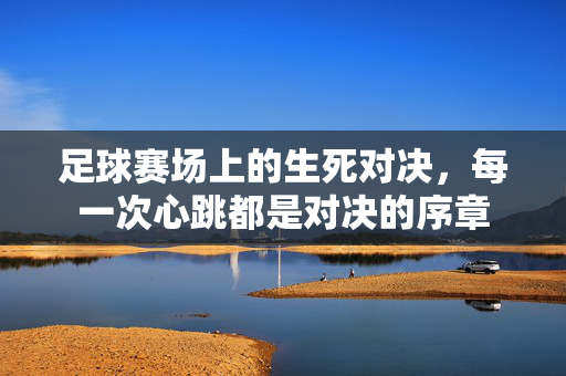 足球赛场上的生死对决，每一次心跳都是对决的序章