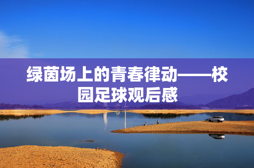 绿茵场上的青春律动——校园足球观后感