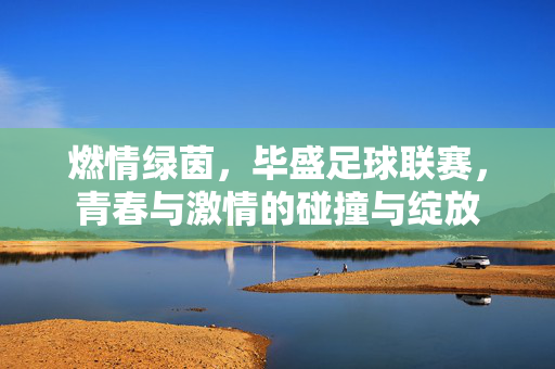 燃情绿茵，毕盛足球联赛，青春与激情的碰撞与绽放