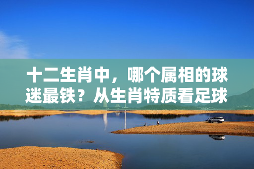 十二生肖中，哪个属相的球迷最铁？从生肖特质看足球热情