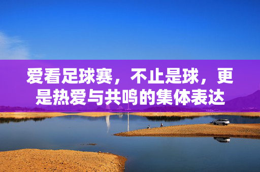 爱看足球赛，不止是球，更是热爱与共鸣的集体表达