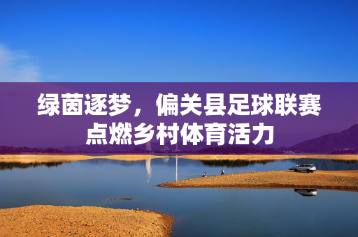 绿茵逐梦，偏关县足球联赛点燃乡村体育活力