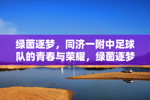 绿茵逐梦，同济一附中足球队的青春与荣耀，绿茵逐梦，同济一附中足球队的青春与荣耀