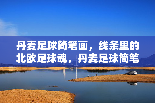 丹麦足球简笔画，线条里的北欧足球魂，丹麦足球简笔画，线条里的北欧足球魂
