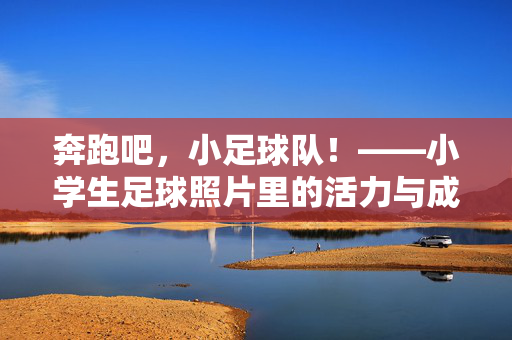 奔跑吧，小足球队！——小学生足球照片里的活力与成长