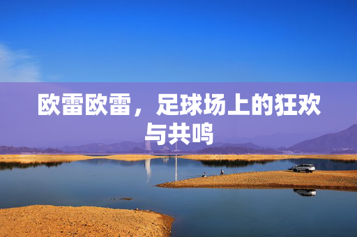 欧雷欧雷，足球场上的狂欢与共鸣