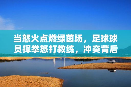 当怒火点燃绿茵场，足球球员挥拳怒打教练，冲突背后的压力与矛盾