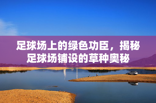 足球场上的绿色功臣，揭秘足球场铺设的草种奥秘