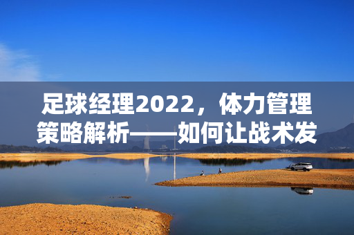 足球经理2022，体力管理策略解析——如何让战术发挥最大效能？