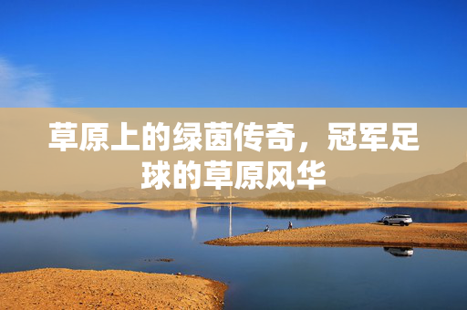 草原上的绿茵传奇，冠军足球的草原风华