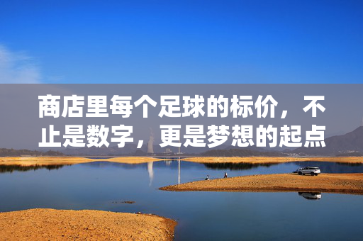 商店里每个足球的标价，不止是数字，更是梦想的起点与成长的阶梯