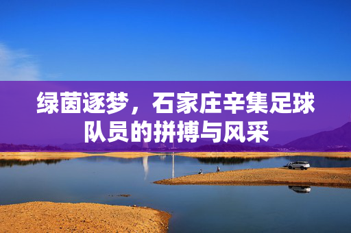 绿茵逐梦，石家庄辛集足球队员的拼搏与风采