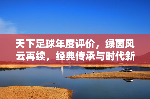 天下足球年度评价，绿茵风云再续，经典传承与时代新篇共绘年度图景，天下足球年度评价，绿茵风云再续，经典传承与时代新篇共绘年度图景