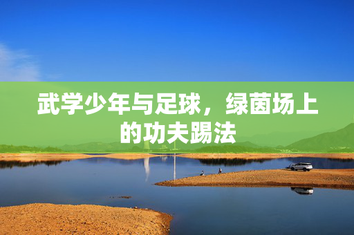武学少年与足球，绿茵场上的功夫踢法