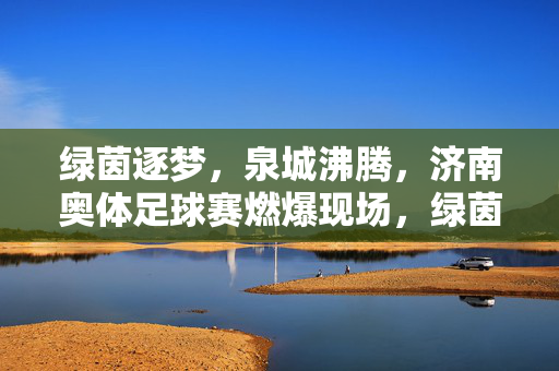绿茵逐梦，泉城沸腾，济南奥体足球赛燃爆现场，绿茵逐梦，泉城沸腾，济南奥体足球赛燃爆现场