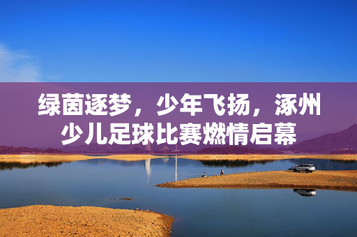 绿茵逐梦，少年飞扬，涿州少儿足球比赛燃情启幕
