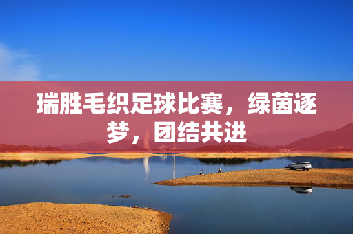瑞胜毛织足球比赛，绿茵逐梦，团结共进