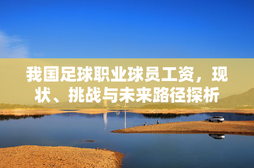 我国足球职业球员工资，现状、挑战与未来路径探析