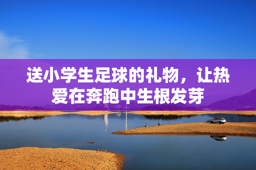 送小学生足球的礼物，让热爱在奔跑中生根发芽