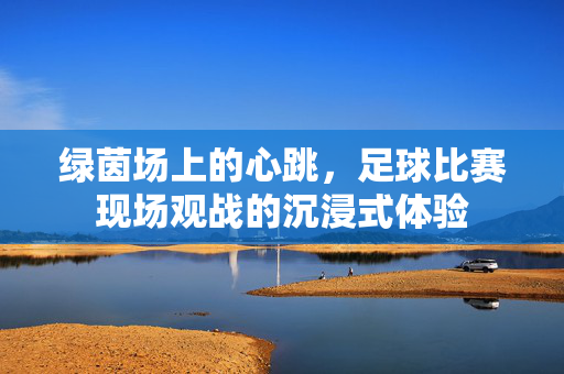 绿茵场上的心跳，足球比赛现场观战的沉浸式体验