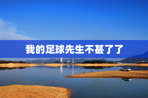 我的足球先生不甚了了