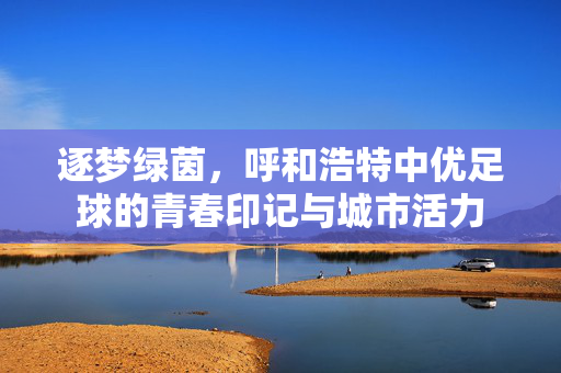 逐梦绿茵，呼和浩特中优足球的青春印记与城市活力