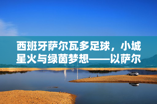 西班牙萨尔瓦多足球，小城星火与绿茵梦想——以萨尔瓦多·巴伦西亚的足球生涯为例