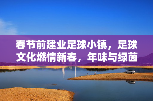 春节前建业足球小镇，足球文化燃情新春，年味与绿茵共舞