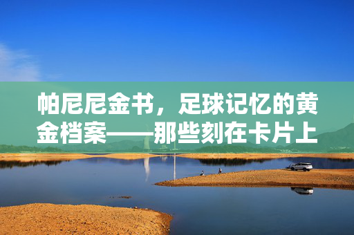 帕尼尼金书，足球记忆的黄金档案——那些刻在卡片上的经典瞬间