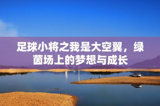 足球小将之我是大空翼，绿茵场上的梦想与成长