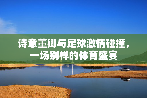 诗意董卿与足球激情碰撞，一场别样的体育盛宴