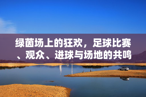 绿茵场上的狂欢,足球比赛、观众、进球与场地的共鸣