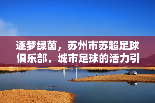 逐梦绿茵,苏州市苏超足球俱乐部,城市足球的活力引擎与青春传承